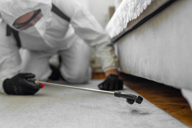 Professional Bed Bug Control technician working in Conway, FL